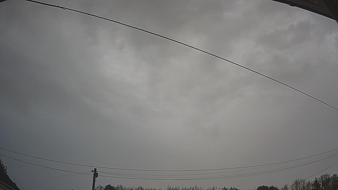 20260826_081604_cam2.jpg
