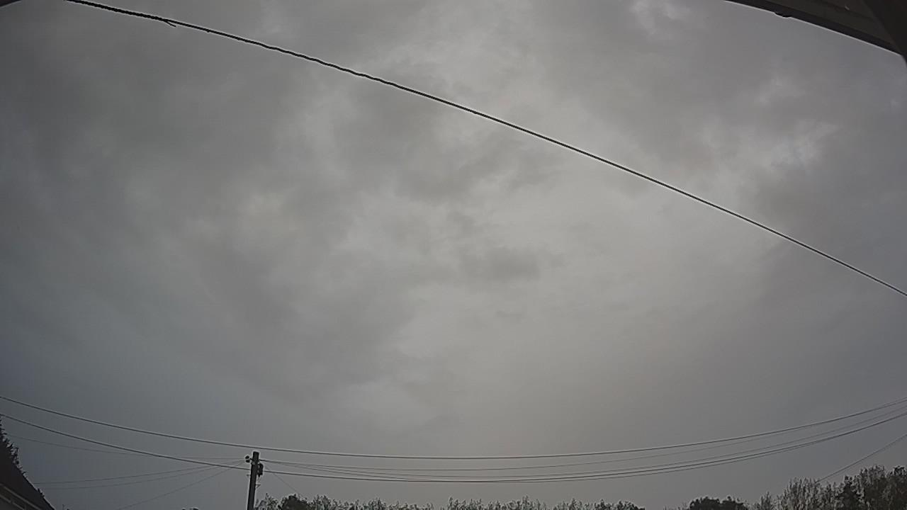 20260826_082005_cam2.jpg