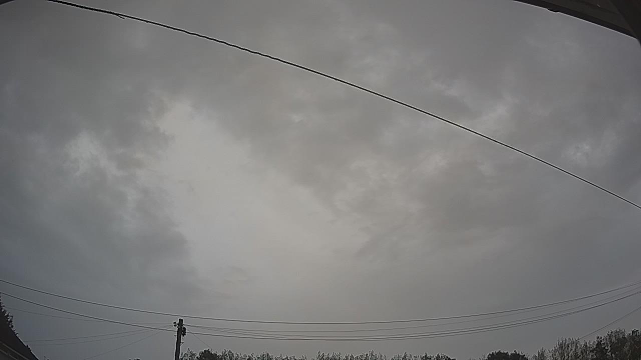 20260826_082405_cam2.jpg