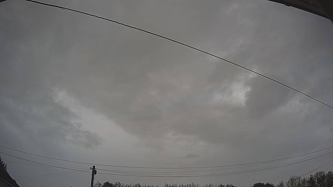 20260826_082805_cam2.jpg