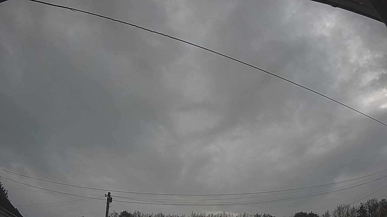 20260826_084441_cam2.jpg