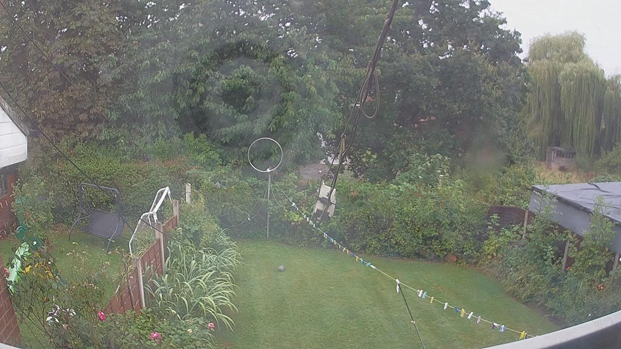 20260826_090116_cam1.jpg
