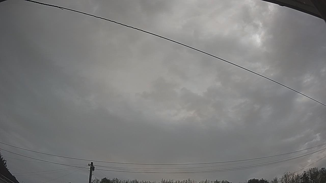 20260826_091344_cam2.jpg
