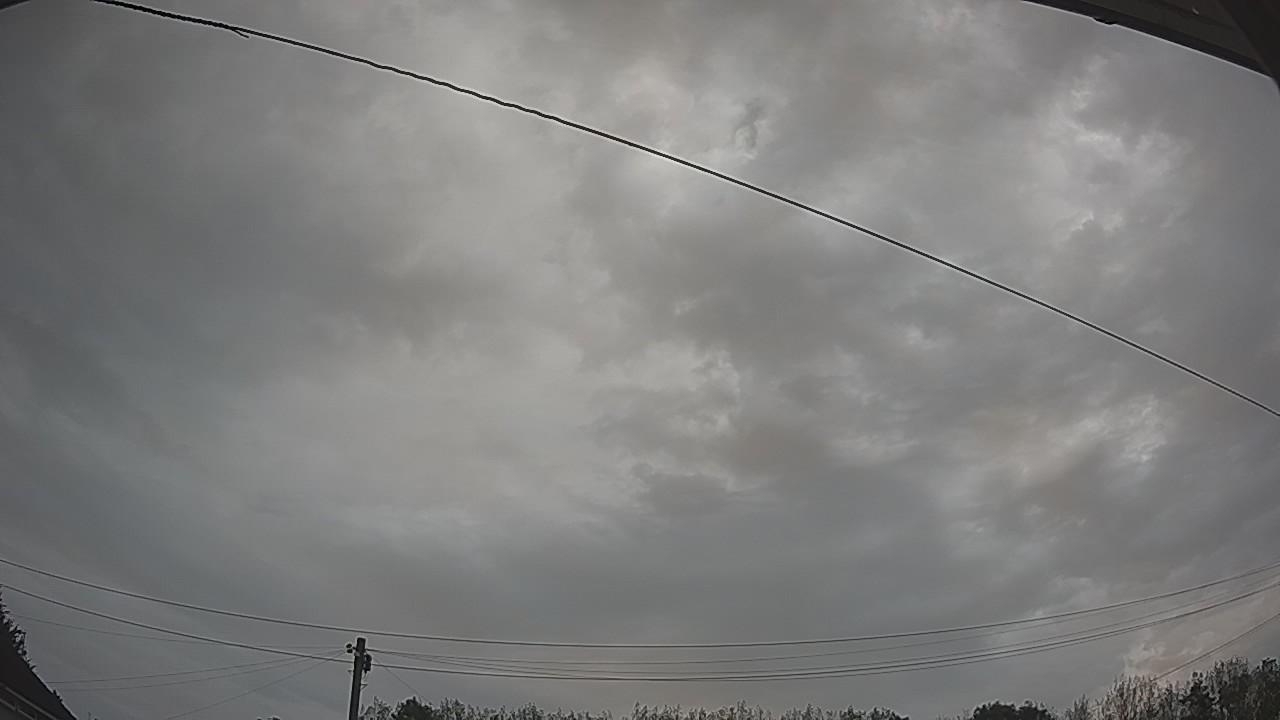 20260826_091753_cam2.jpg