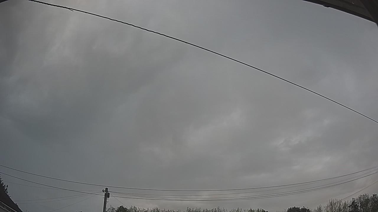 20260826_101529_cam2.jpg