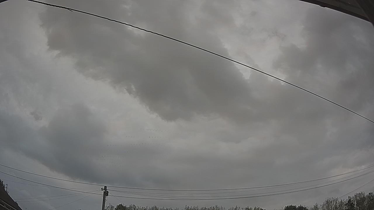 20260826_120511_cam2.jpg