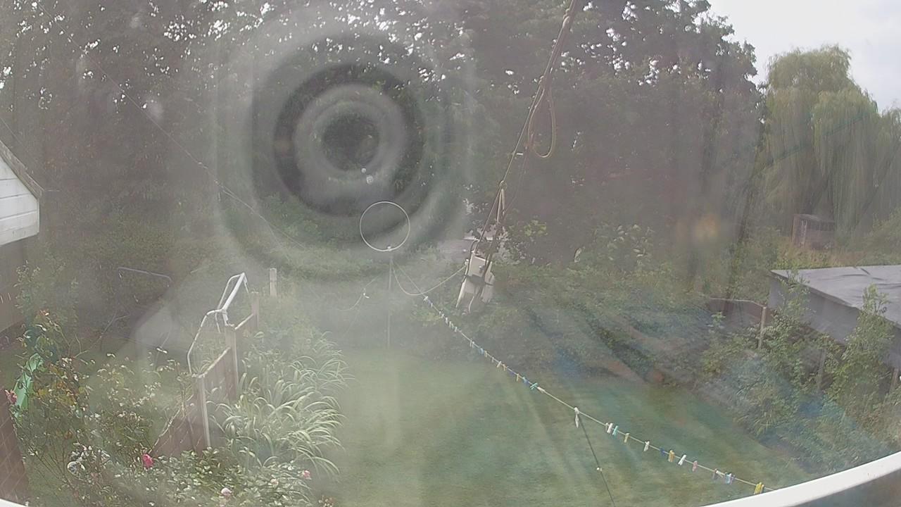 20260826_123904_cam1.jpg