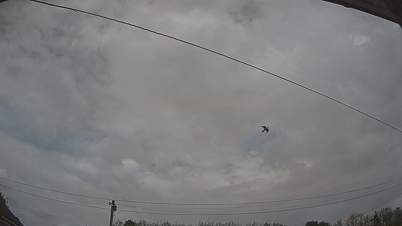 20260826_135554_cam2.jpg