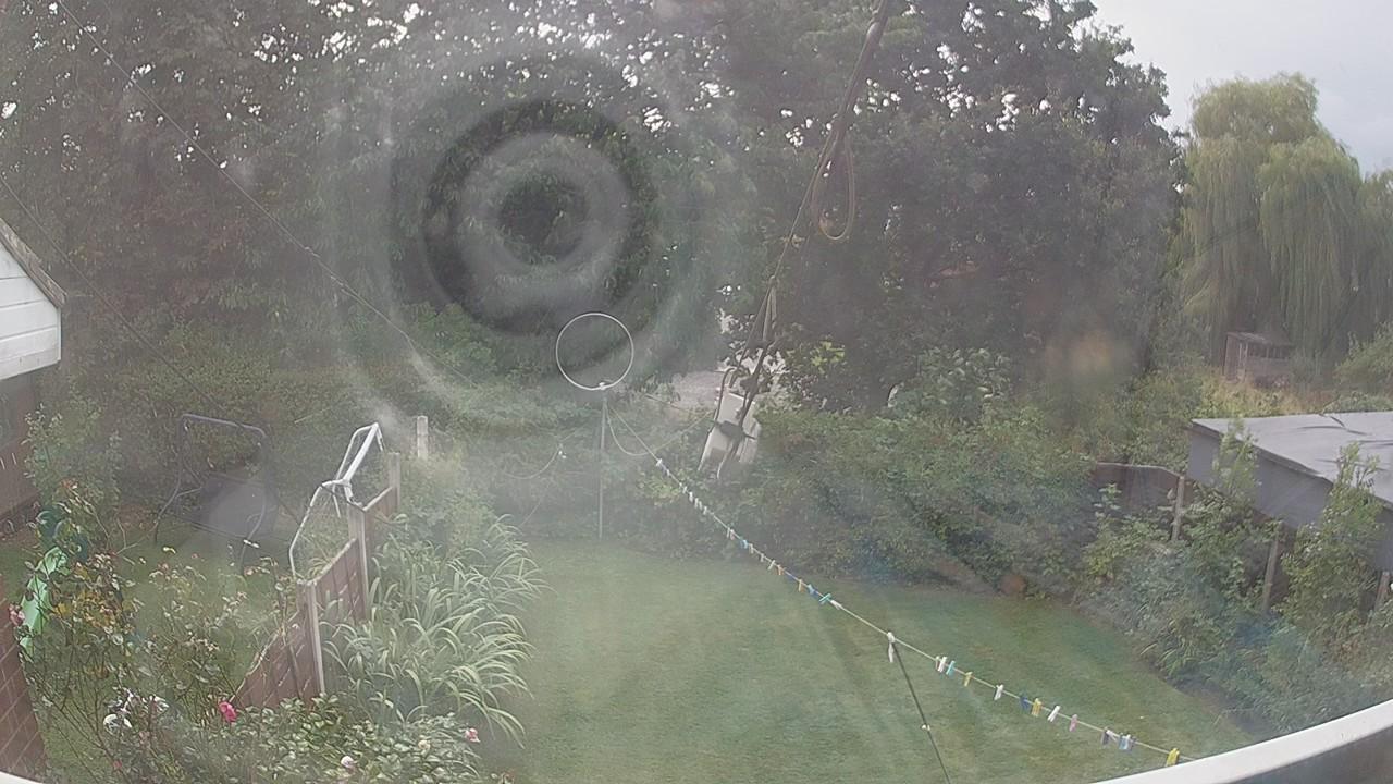 20260826_140012_cam1.jpg
