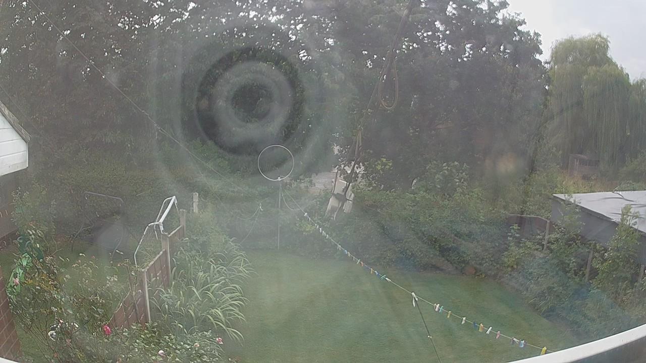 20260826_145521_cam1.jpg