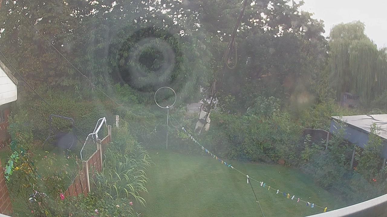 20260826_170419_cam1.jpg