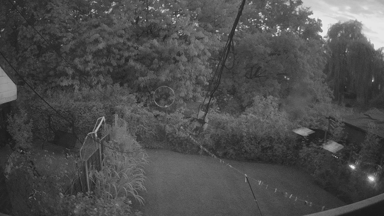 20260826_194601_cam1.jpg
