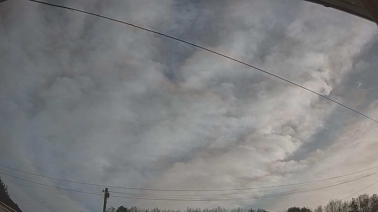 20260827_063049_cam2.jpg