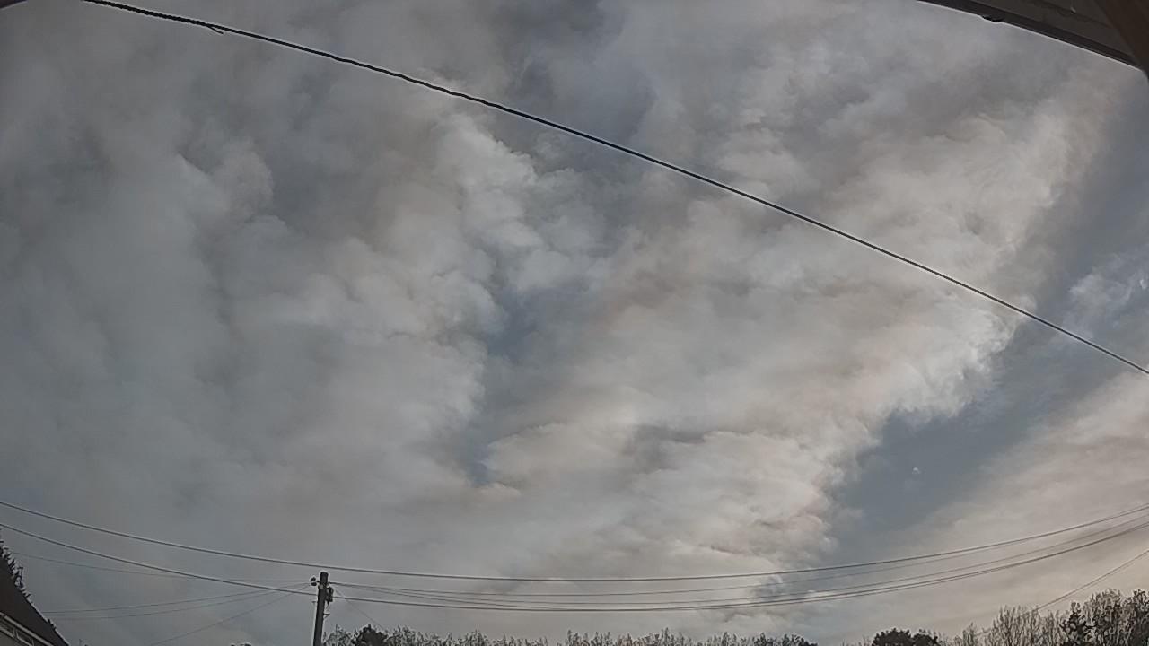 20260827_063831_cam2.jpg