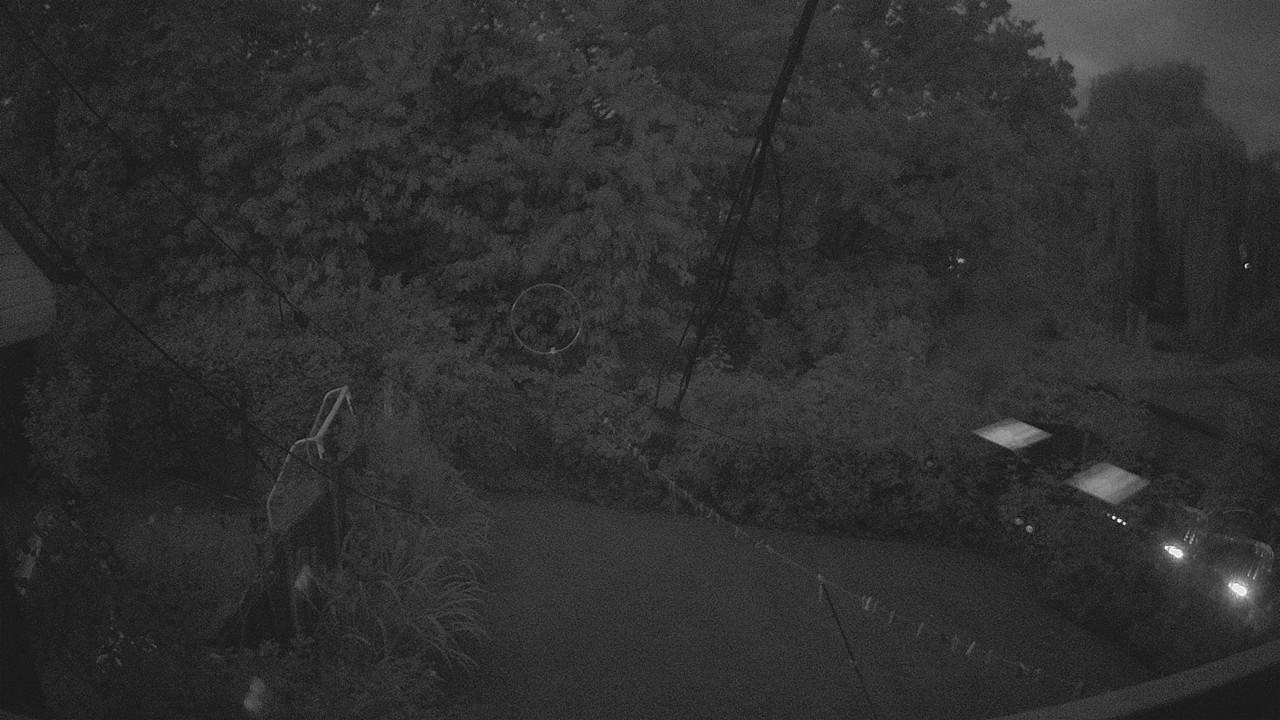 20260827_194027_cam1.jpg