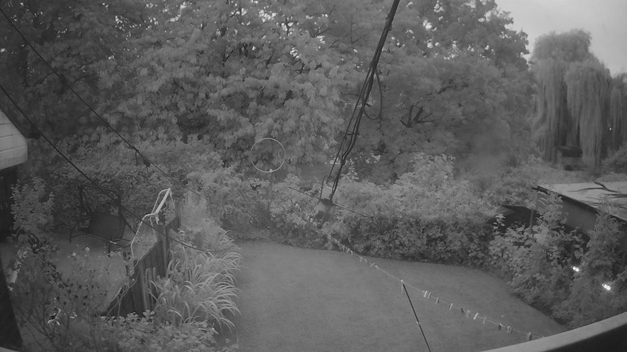20260828_045449_cam1.jpg