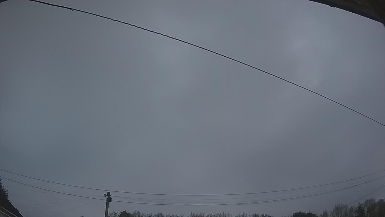20260828_045450_cam2.jpg