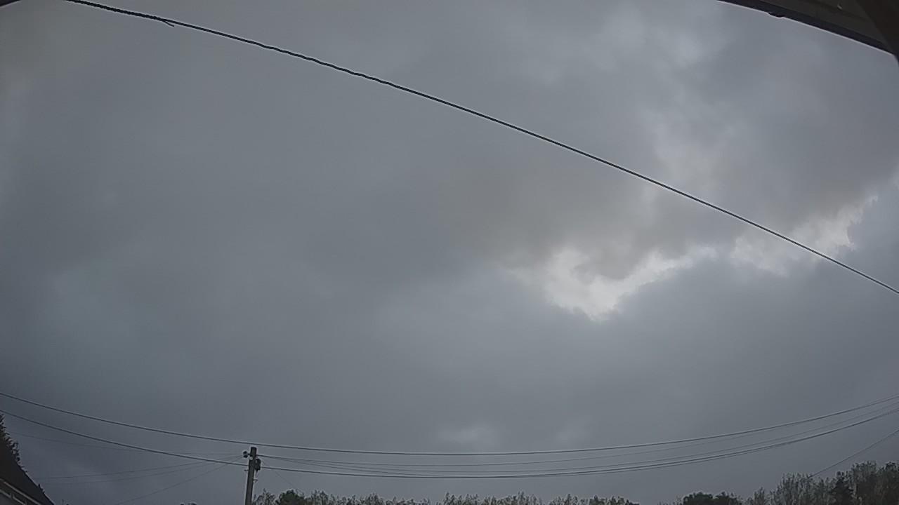 20260828_050839_cam2.jpg