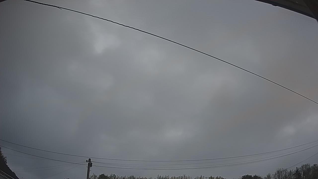 20260828_051750_cam2.jpg