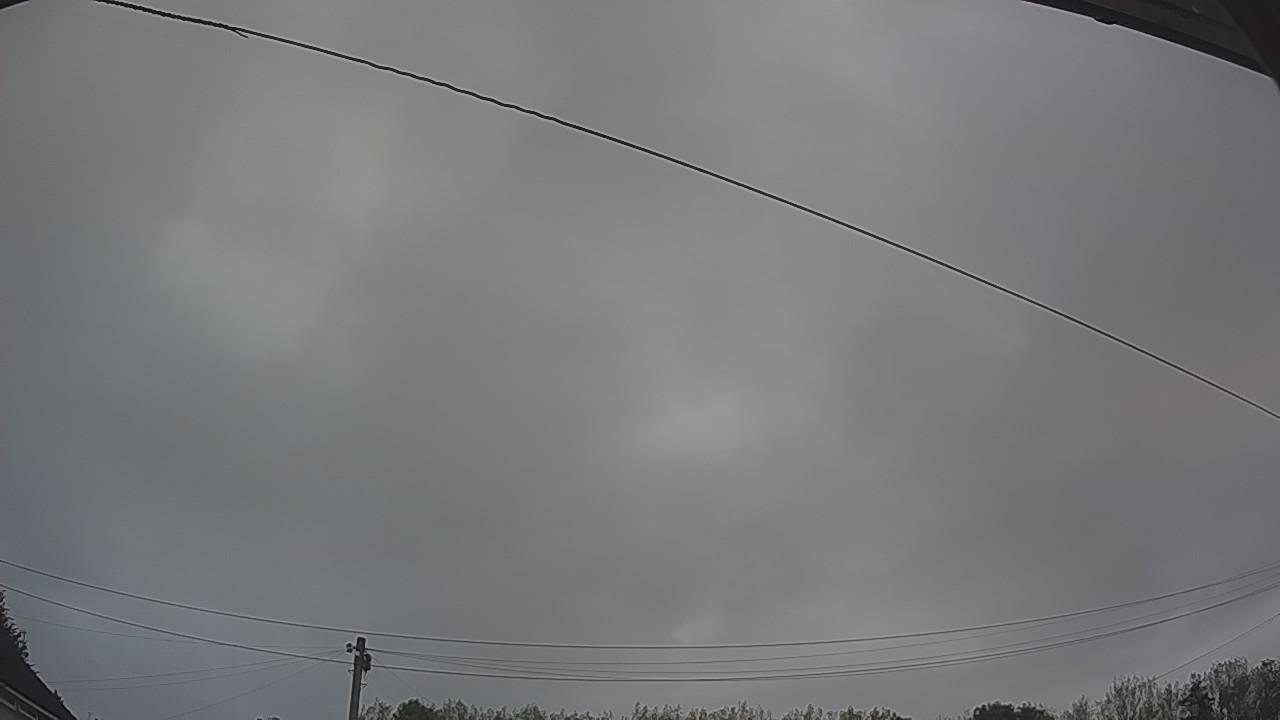 20260828_052226_cam2.jpg