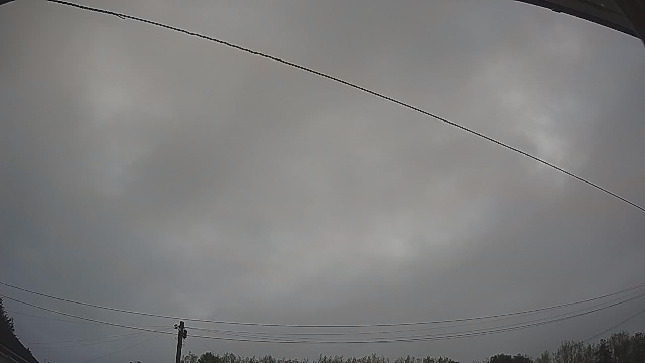 20260828_053129_cam2.jpg
