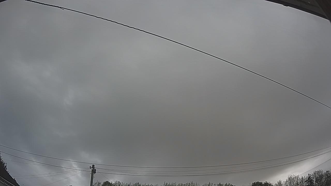 20260828_081201_cam2.jpg