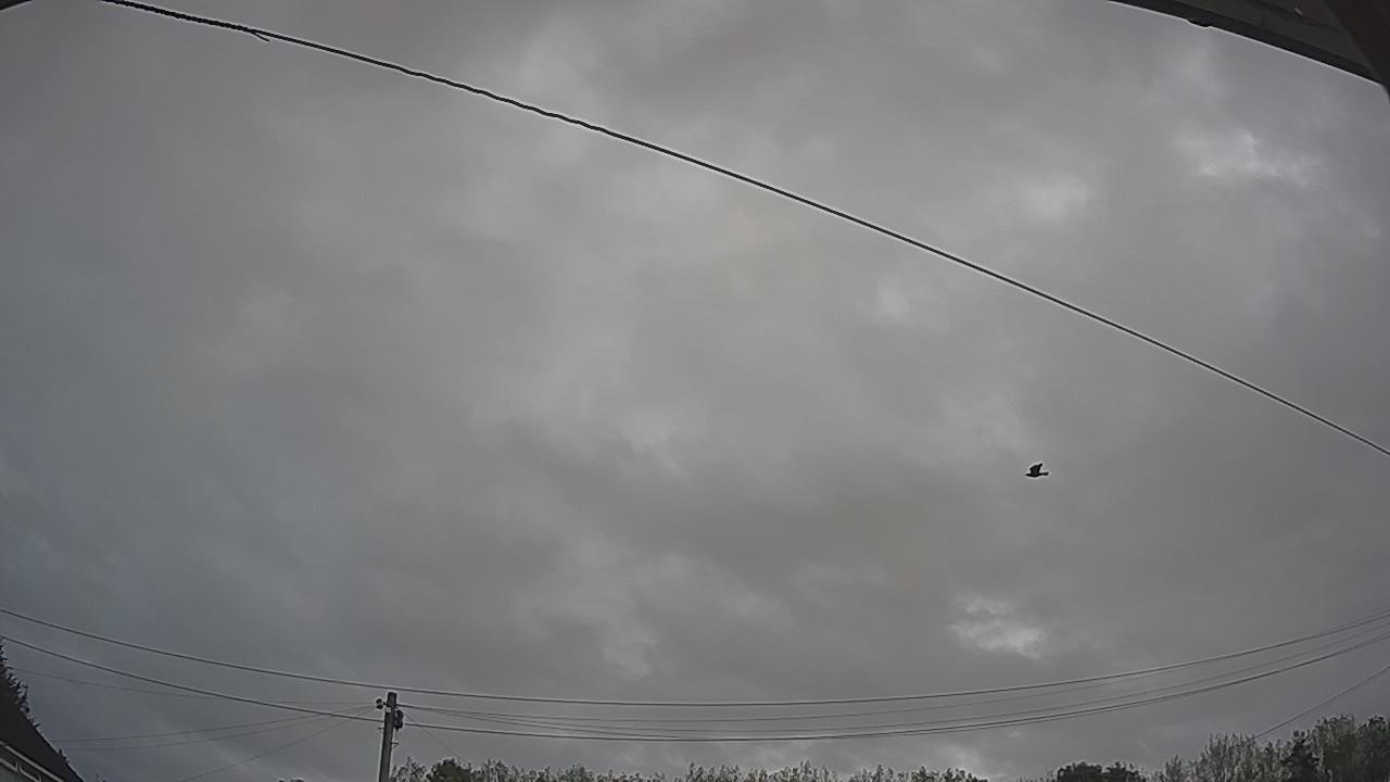 20260828_082037_cam2.jpg