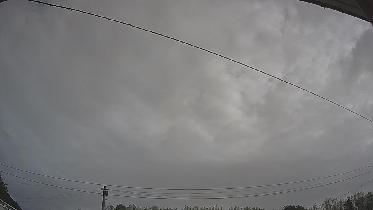 20260828_082922_cam2.jpg