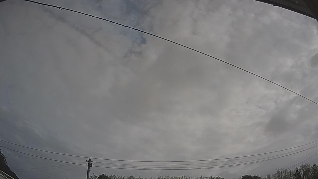 20260828_083348_cam2.jpg