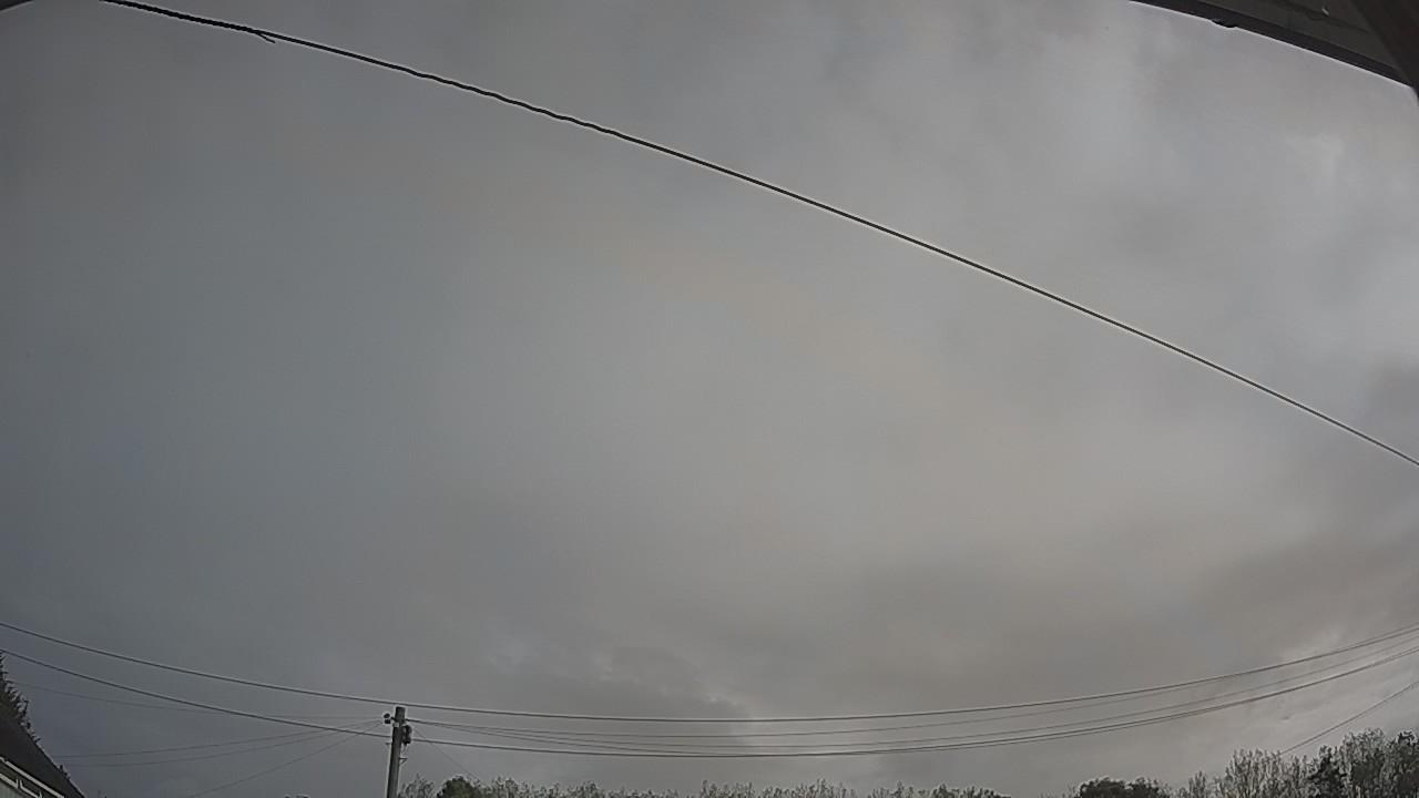 20260828_085135_cam2.jpg