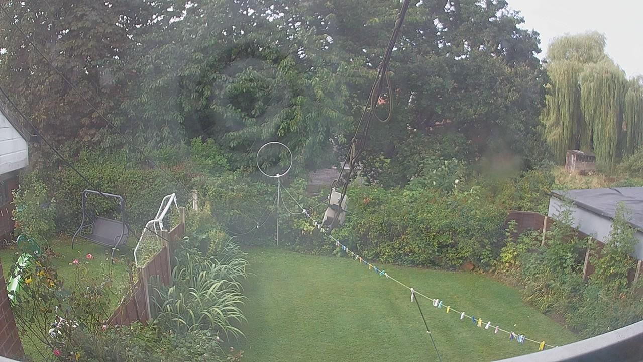20260828_090010_cam1.jpg