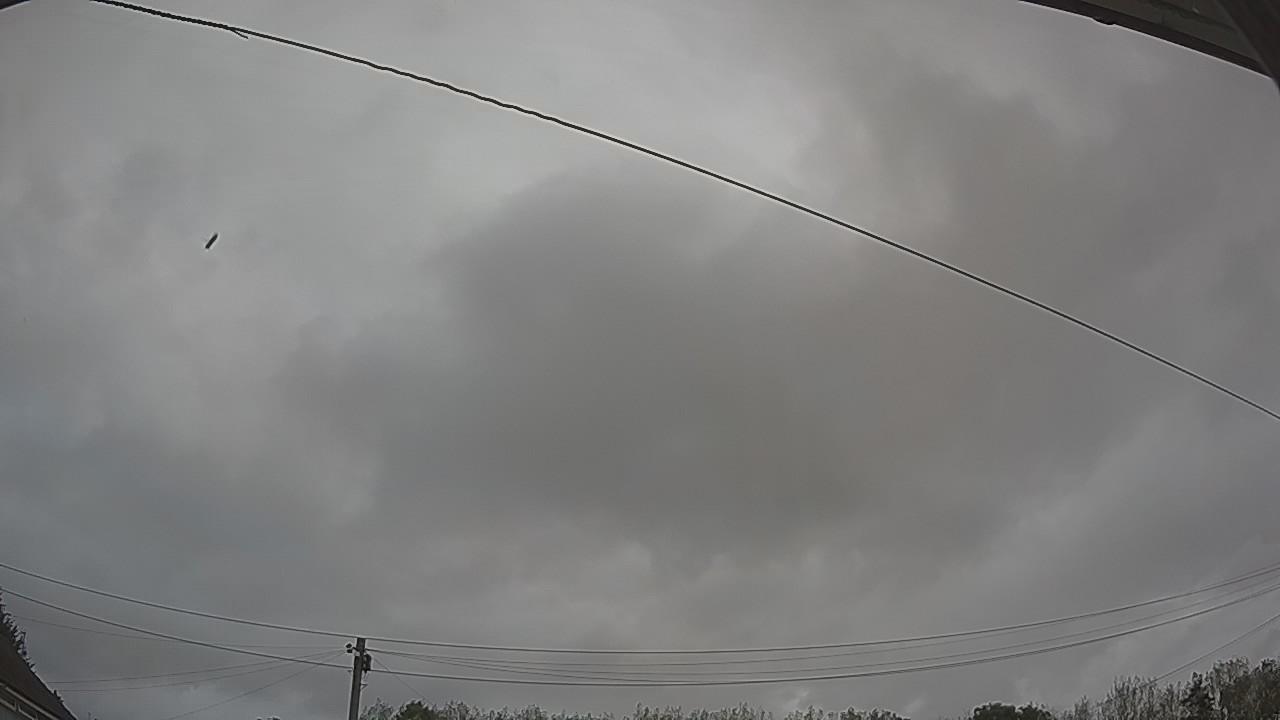 20260828_100117_cam2.jpg