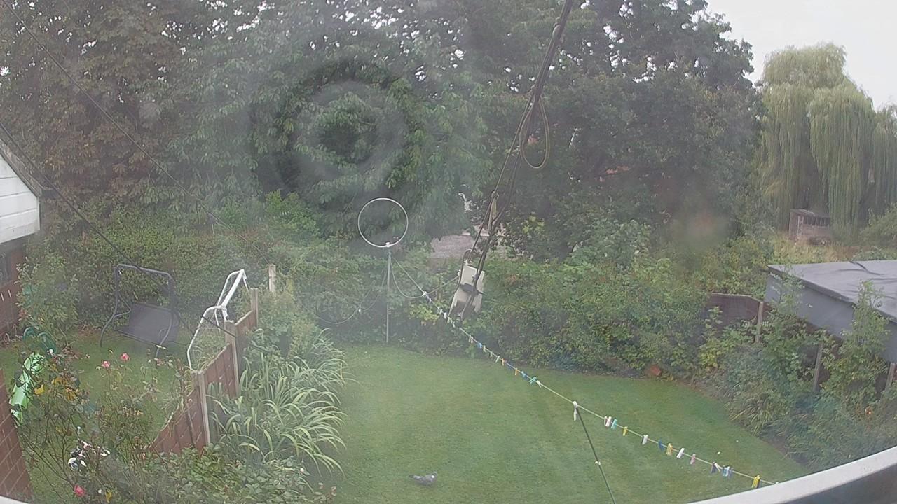 20260828_100525_cam1.jpg