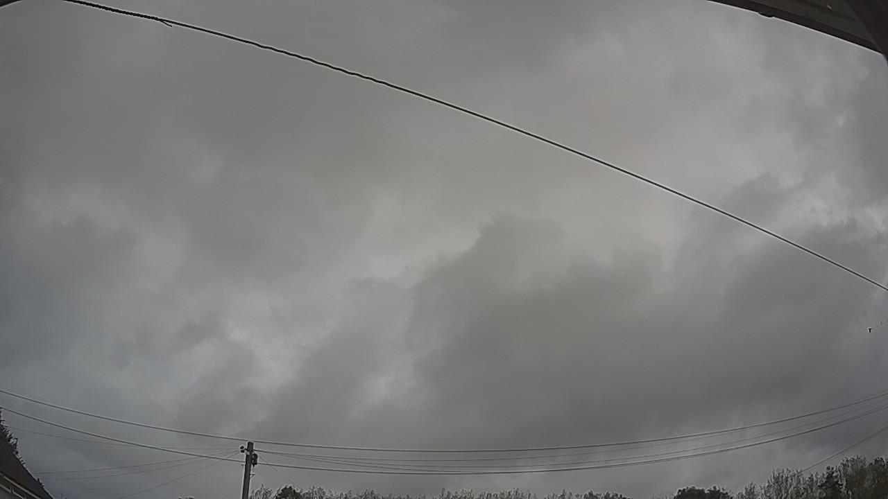 20260828_100935_cam2.jpg