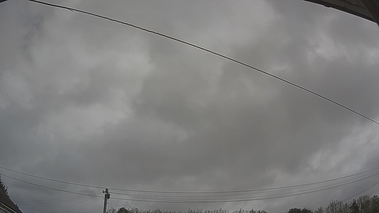 20260828_101344_cam2.jpg