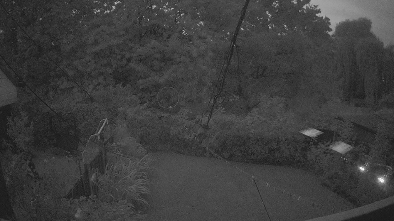 20260829_044046_cam1.jpg