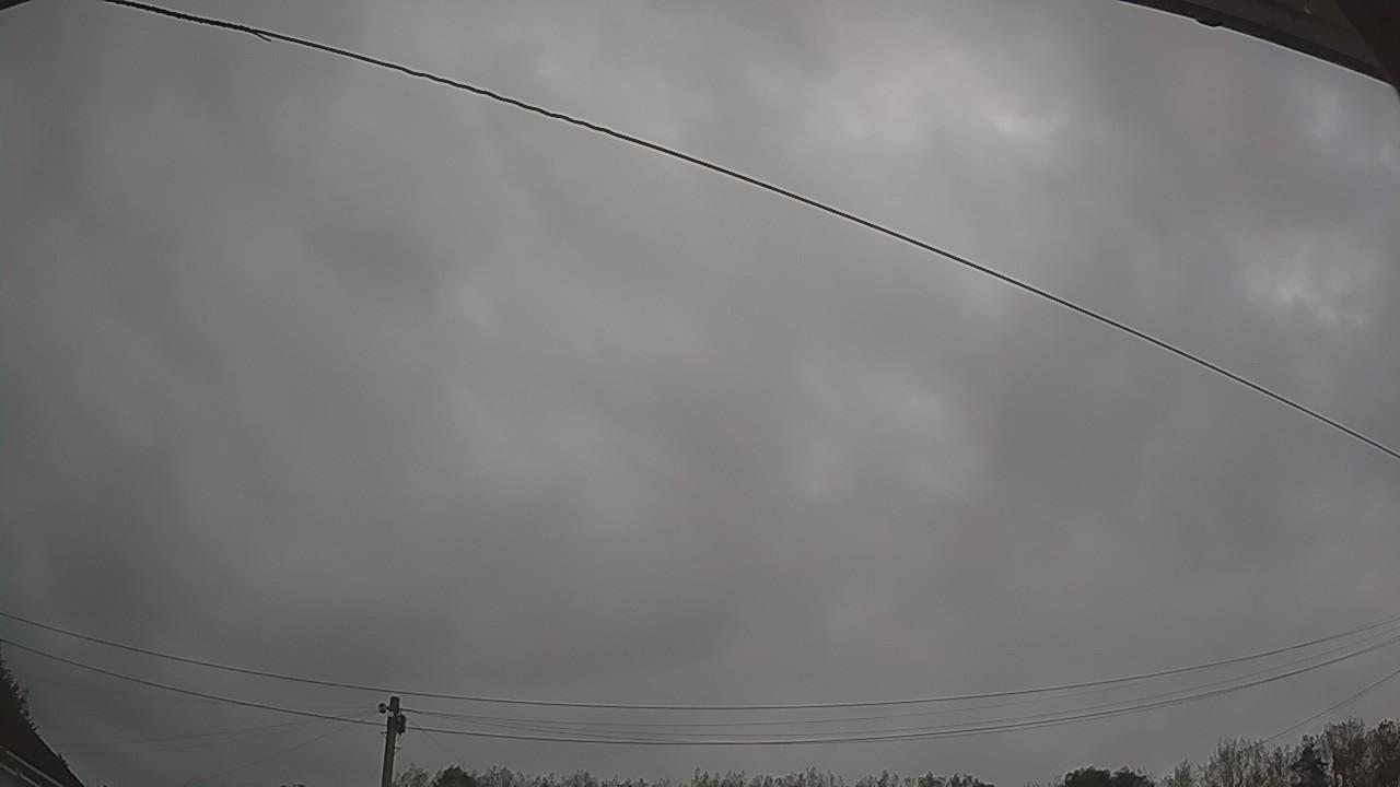 20260829_045844_cam2.jpg