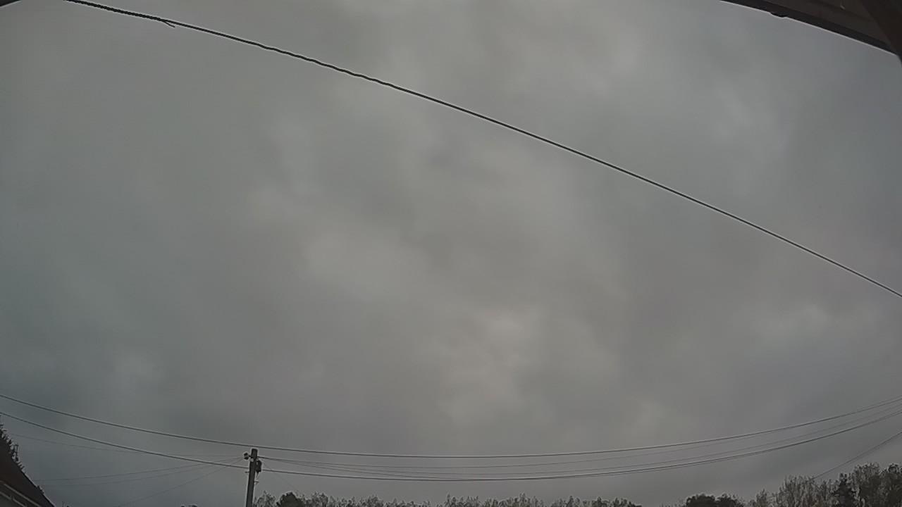 20260829_050311_cam2.jpg