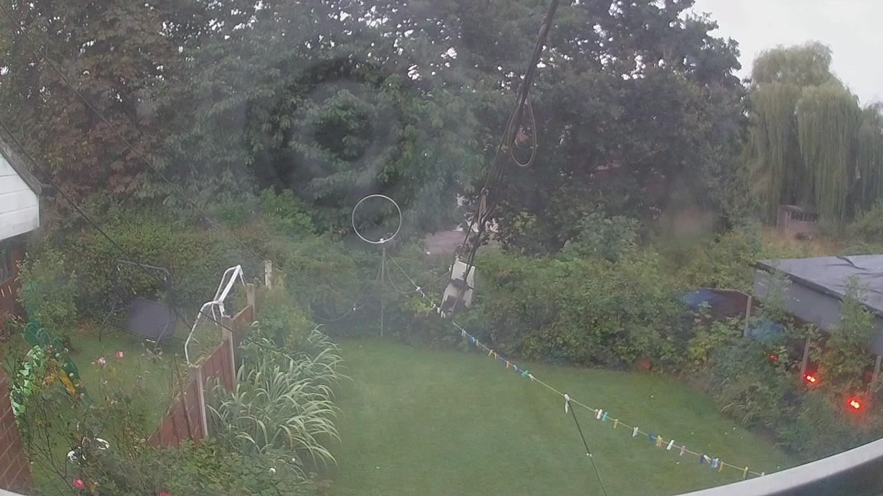 20260829_050737_cam1.jpg