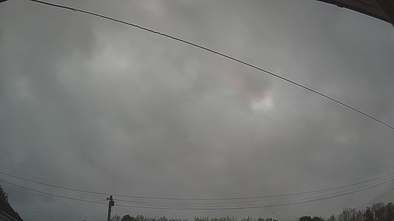 20260829_050738_cam2.jpg