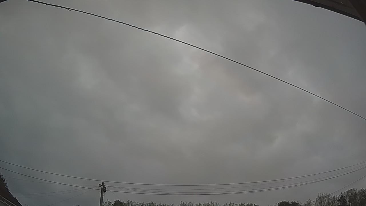 20260829_051206_cam2.jpg