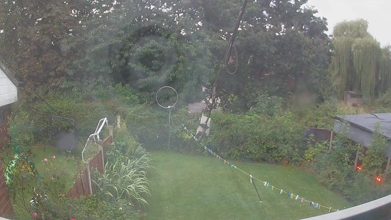 20260829_051632_cam1.jpg