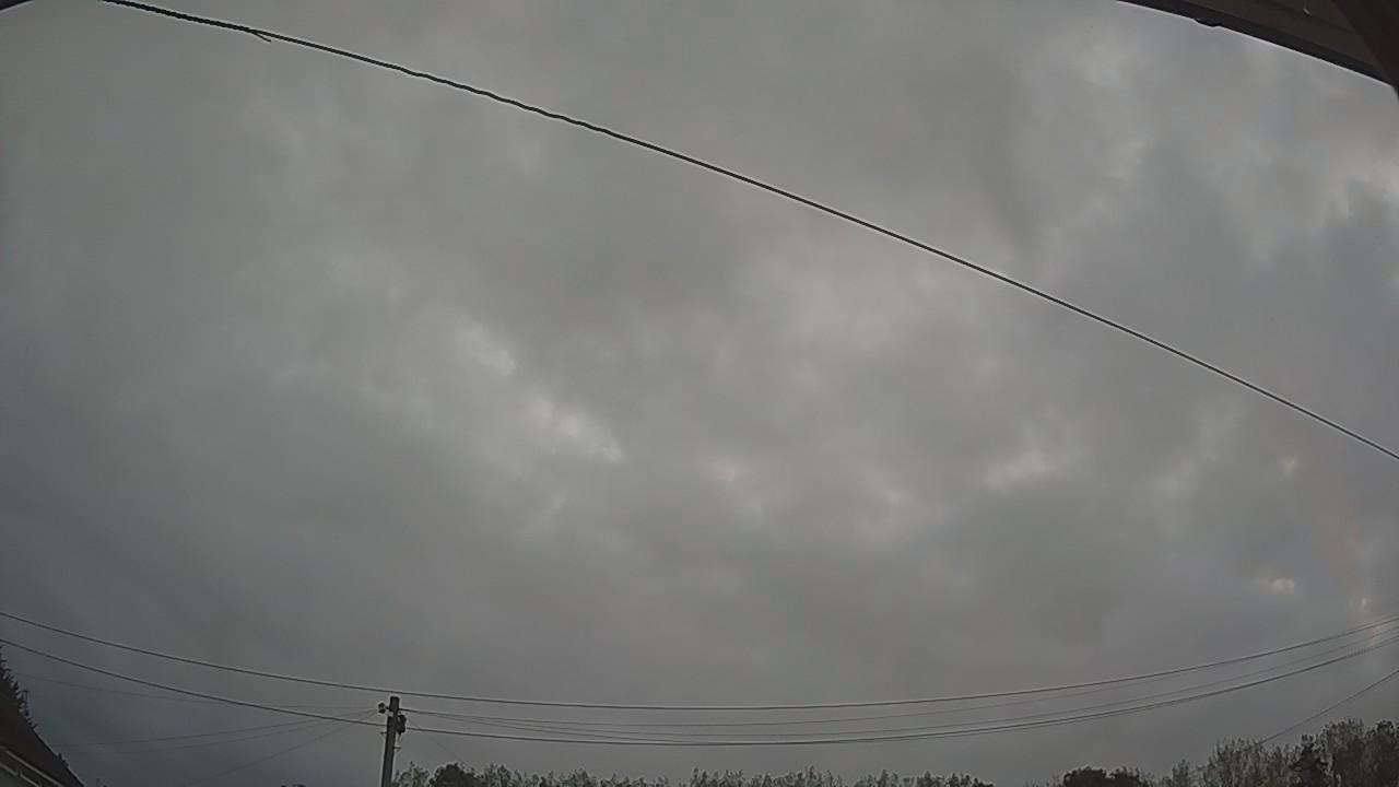 20260829_051633_cam2.jpg