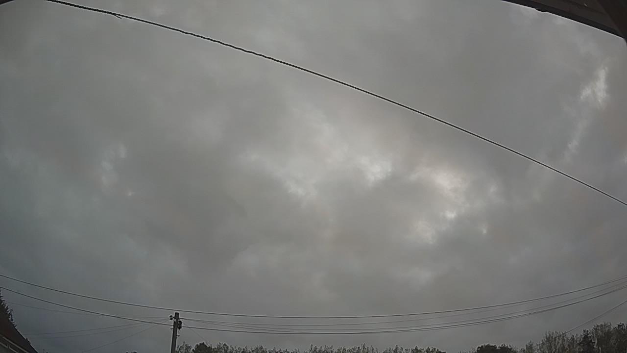 20260829_052101_cam2.jpg
