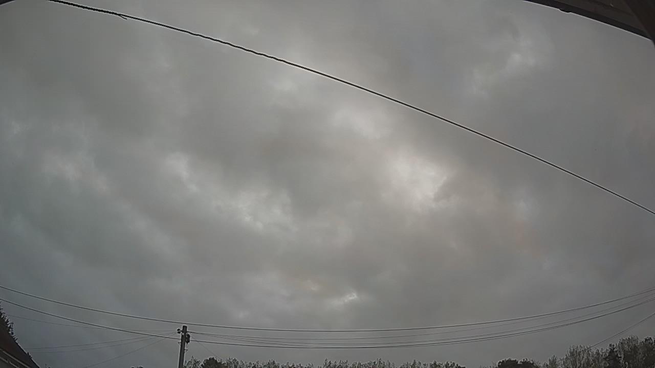 20260829_052528_cam2.jpg