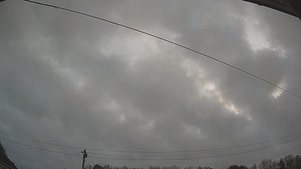 20260829_052955_cam2.jpg