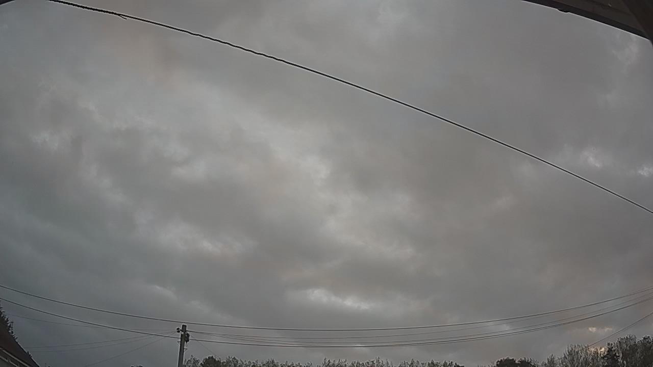 20260829_054743_cam2.jpg