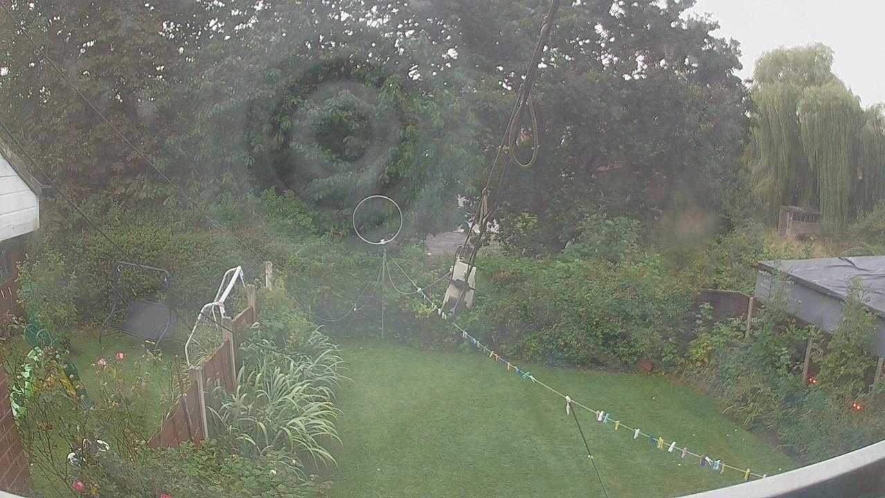 20260829_055209_cam1.jpg