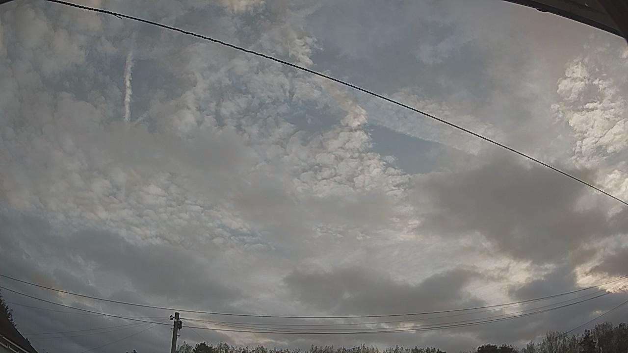 20260829_060104_cam2.jpg