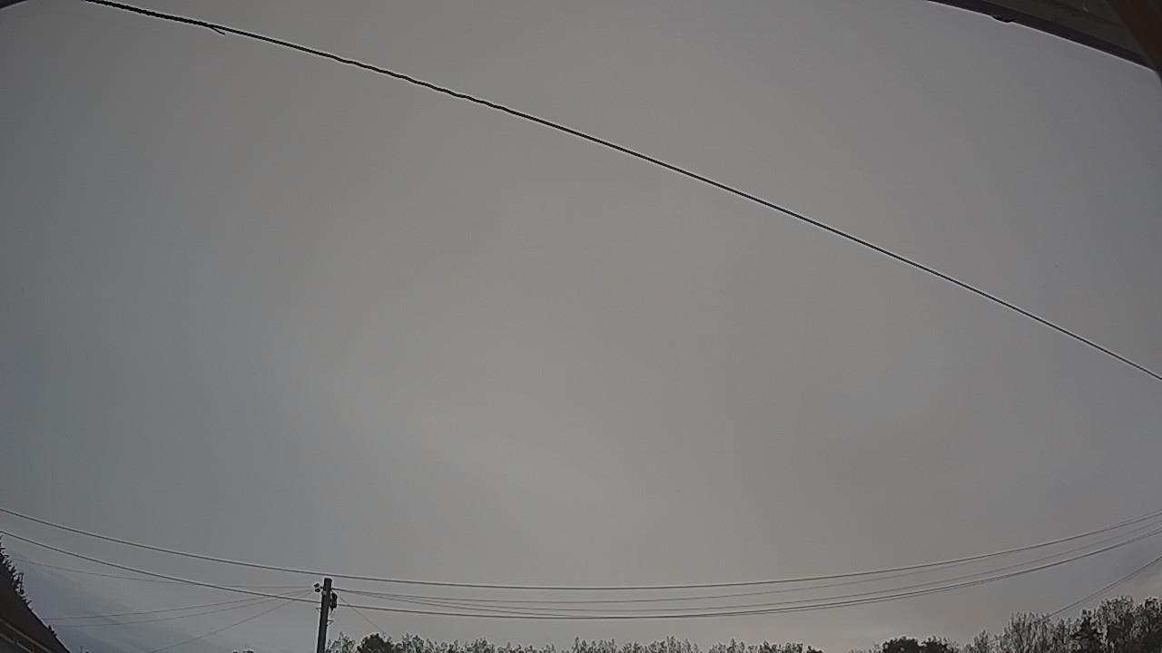20260829_081122_cam2.jpg